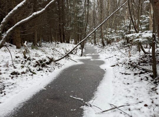 St-Lucien, terre à bois de 19 acres droits constr.