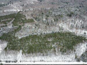 St-Lucien, terre à bois de 21 acres droit constr.