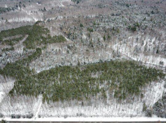 St-Lucien, terre à bois de 21 acres droit constr.