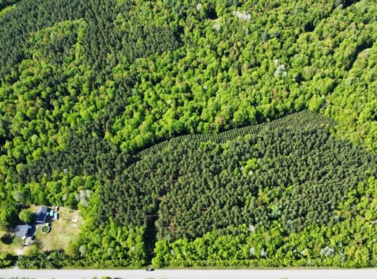St-Lucien, terre à bois de 21 acres droit constr.
