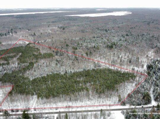 St-Lucien, terre à bois de 21 acres droit constr.