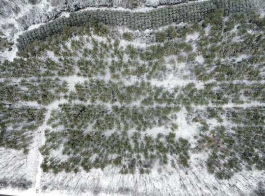 St-Lucien, terre à bois de 21 acres droit constr.