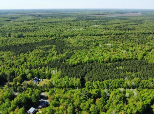 St-Lucien, terre à bois de 21 acres droit constr.