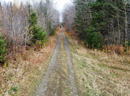Ham-Sud (Estrie) : Terre à bois de 39 acres