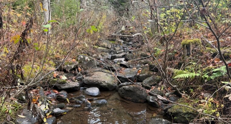 Ham-Sud (Estrie) : Terre à bois de 39 acres