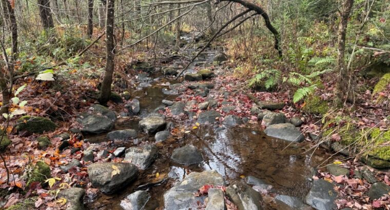 Ham-Sud (Estrie) : Terre à bois de 39 acres