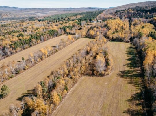 Audet (Estrie) : Domaine de 152 acres, érablière