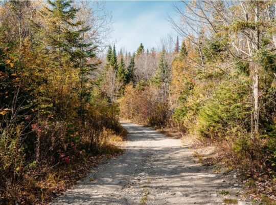 Audet (Estrie) : Domaine de 152 acres, érablière