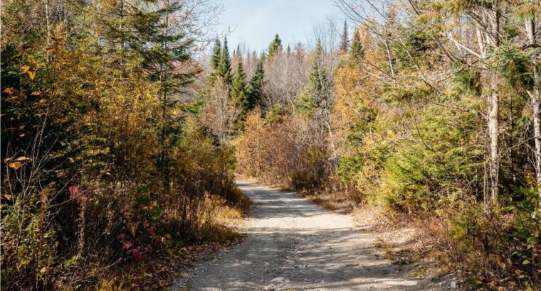 Audet (Estrie) : Domaine de 152 acres, érablière
