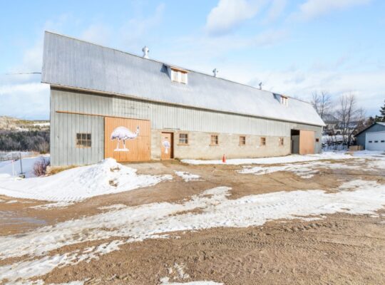 St-Urbain (Capitale-Nationale) : Ferme d’émeus