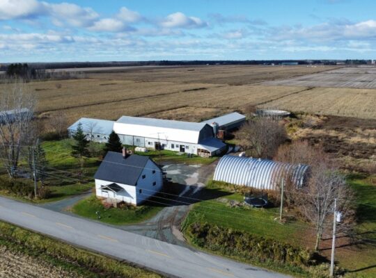 St-Wenceslas (Centre-du-Québec) : Fermette de 4 ac