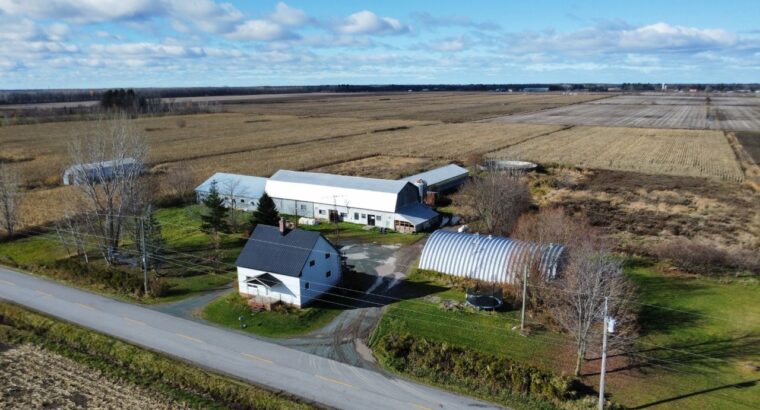 St-Wenceslas (Centre-du-Québec) : Fermette de 4 ac