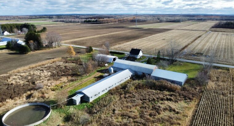 St-Wenceslas (Centre-du-Québec) : Fermette de 4 ac