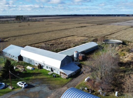 St-Wenceslas (Centre-du-Québec) : Fermette de 4 ac