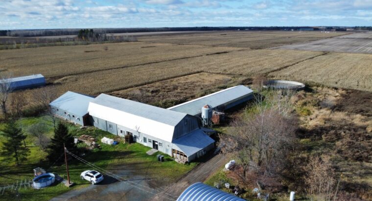 St-Wenceslas (Centre-du-Québec) : Fermette de 4 ac