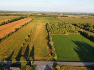 St-Blaise-sur-Richelieu (Montérégie) : Terre cult.