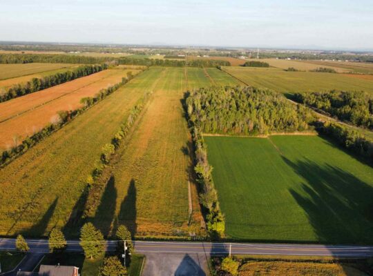 St-Blaise-sur-Richelieu (Montérégie) : Terre cult.
