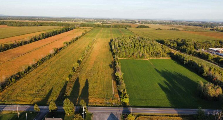 St-Blaise-sur-Richelieu (Montérégie) : Terre cult.