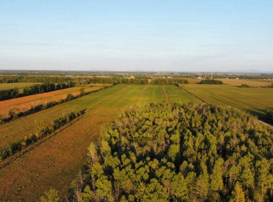 St-Blaise-sur-Richelieu (Montérégie) : Terre cult.