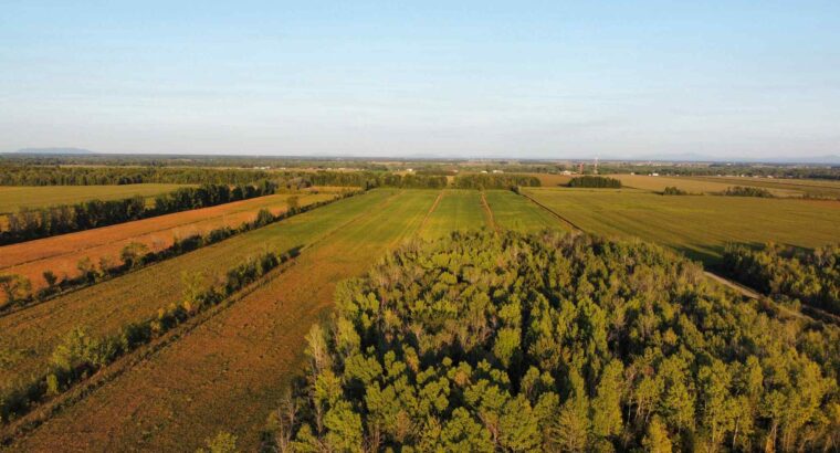 St-Blaise-sur-Richelieu (Montérégie) : Terre cult.