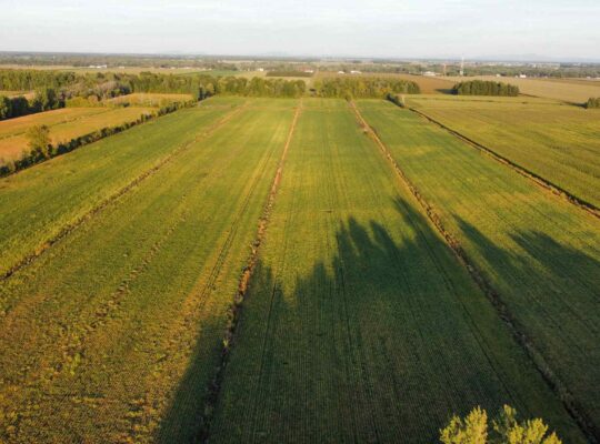 St-Blaise-sur-Richelieu (Montérégie) : Terre cult.
