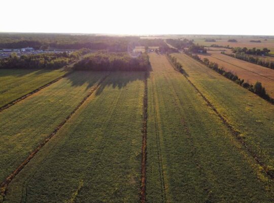 St-Blaise-sur-Richelieu (Montérégie) : Terre cult.