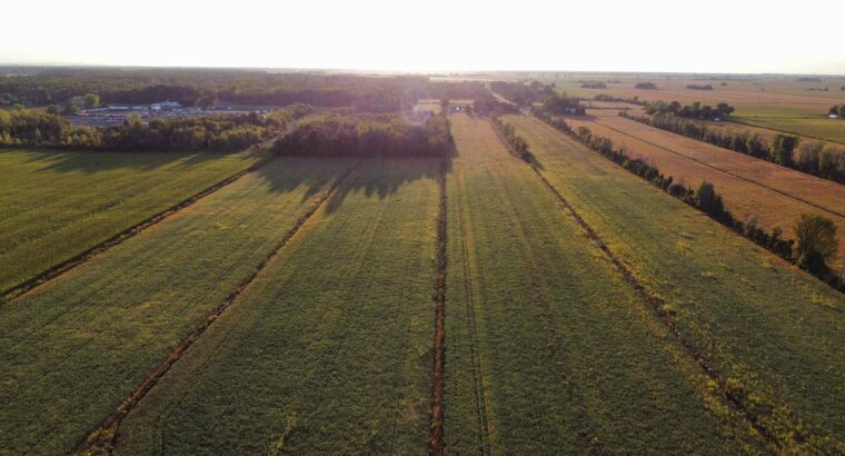 St-Blaise-sur-Richelieu (Montérégie) : Terre cult.