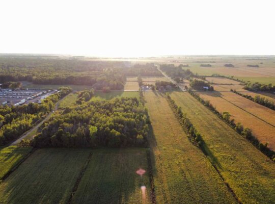 St-Blaise-sur-Richelieu (Montérégie) : Terre cult.