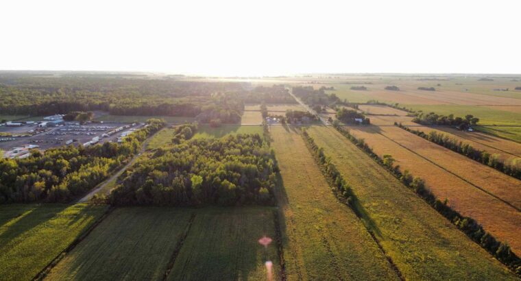 St-Blaise-sur-Richelieu (Montérégie) : Terre cult.