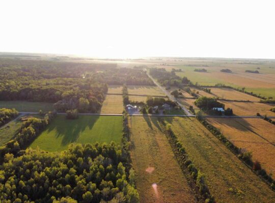 St-Blaise-sur-Richelieu (Montérégie) : Terre cult.