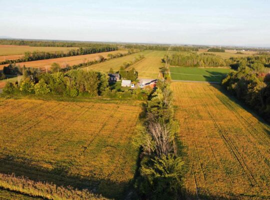 St-Blaise-sur-Richelieu (Montérégie) : Terre cult.