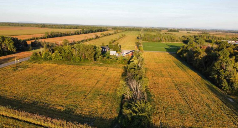 St-Blaise-sur-Richelieu (Montérégie) : Terre cult.