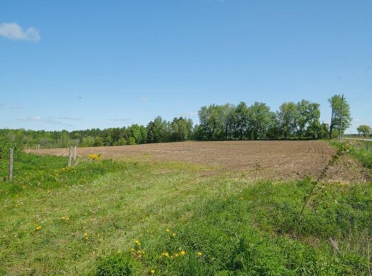 St-Jude (Montérégie) Terre av potentiel acéricole