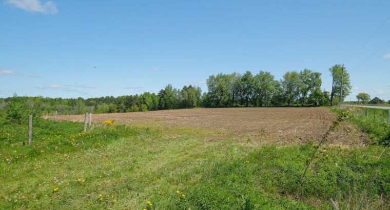 St-Jude (Montérégie) Terre av potentiel acéricole