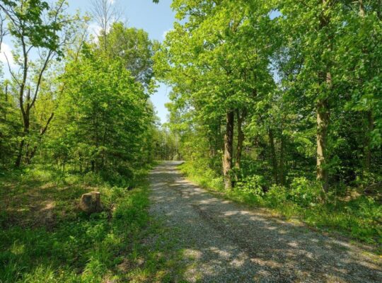 St-Jude (Montérégie) Terre av potentiel acéricole