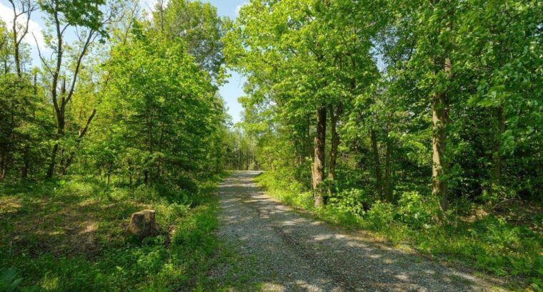 St-Jude (Montérégie) Terre av potentiel acéricole