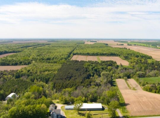 St-Jude (Montérégie) Terre av potentiel acéricole