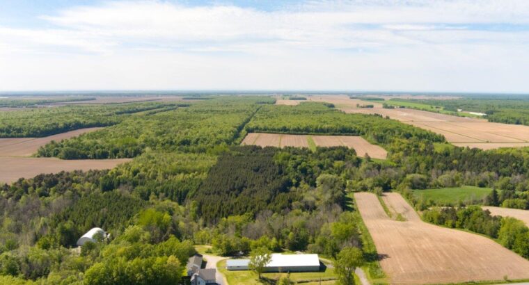 St-Jude (Montérégie) Terre av potentiel acéricole