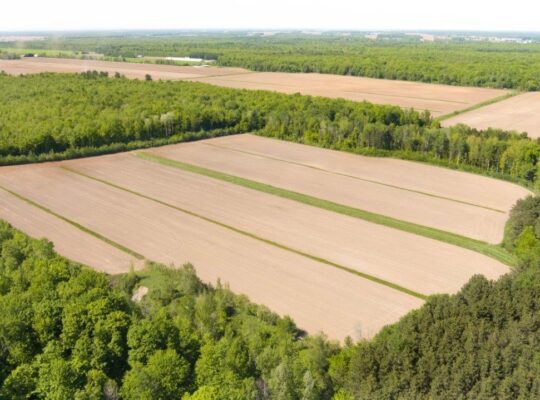 St-Jude (Montérégie) Terre av potentiel acéricole