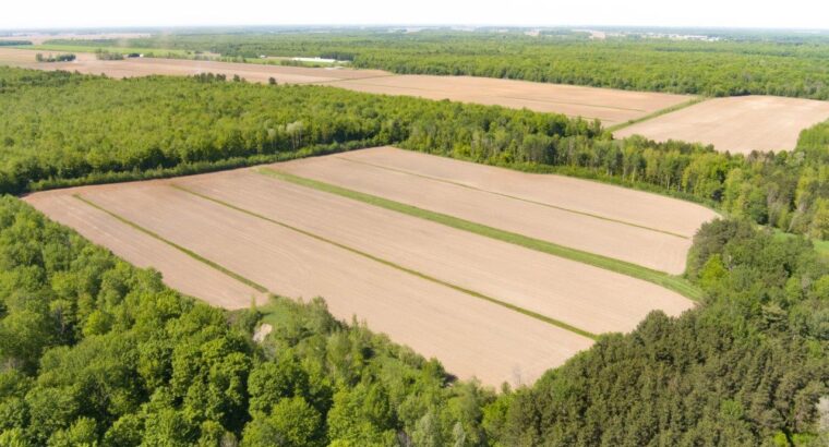 St-Jude (Montérégie) Terre av potentiel acéricole