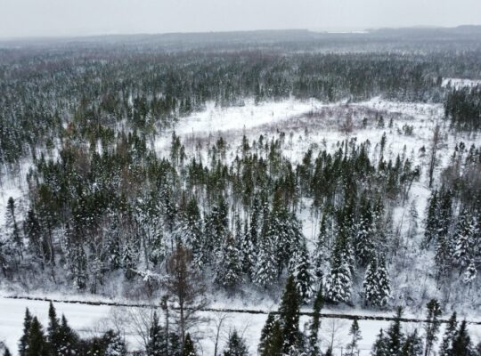 Ste-Rose-de-Watford (Chaud-App)Terre droits constr
