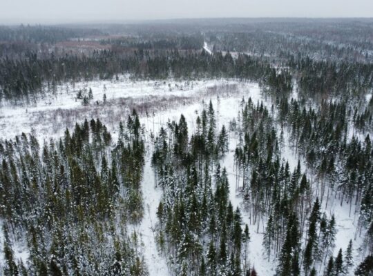 Ste-Rose-de-Watford (Chaud-App)Terre droits constr