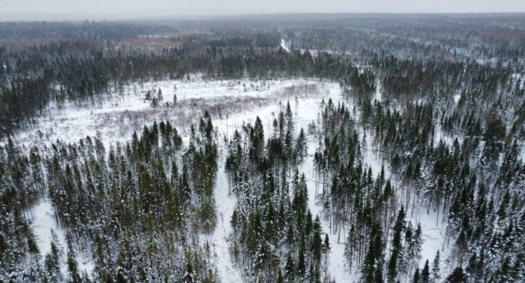 Ste-Rose-de-Watford (Chaud-App)Terre droits constr