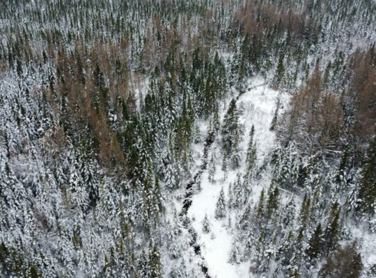 Ste-Rose-de-Watford (Chaud-App)Terre droits constr