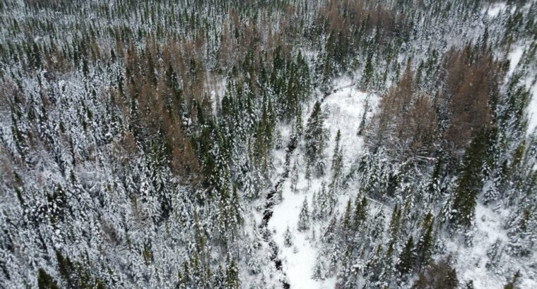 Ste-Rose-de-Watford (Chaud-App)Terre droits constr