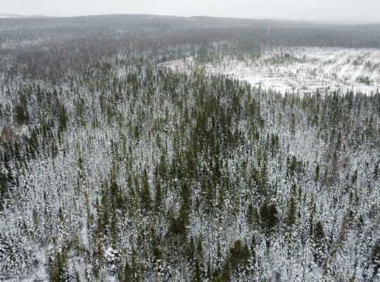 Ste-Rose-de-Watford (Chaud-App)Terre droits constr