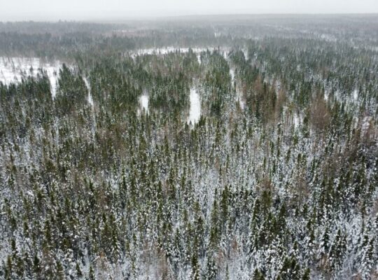 Ste-Rose-de-Watford (Chaud-App)Terre droits constr