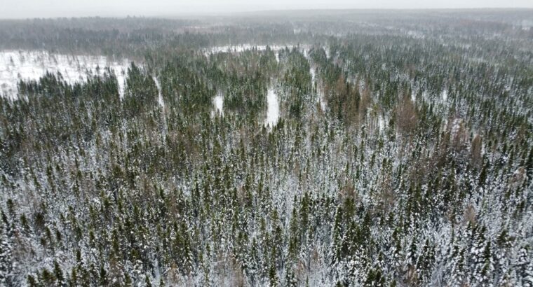 Ste-Rose-de-Watford (Chaud-App)Terre droits constr