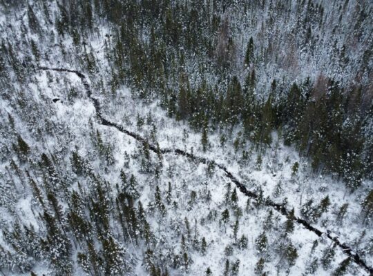 Ste-Rose-de-Watford (Chaud-App.)Terre droit constr
