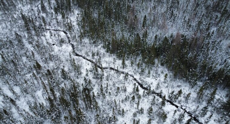 Ste-Rose-de-Watford (Chaud-App.)Terre droit constr